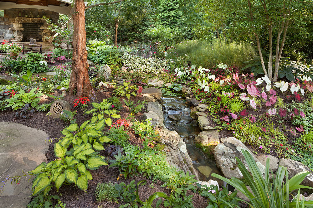 The Benefits of Using Native Plants in Your Landscape Design