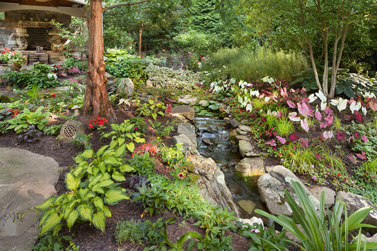 The Benefits of Using Native Plants in Your Landscape Design